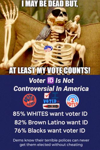 Dead democrat voter