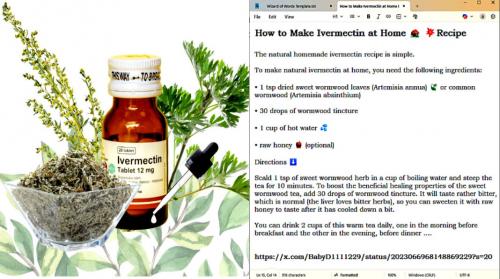 Ivermectin DIY Reccipe ~Cover Picture~