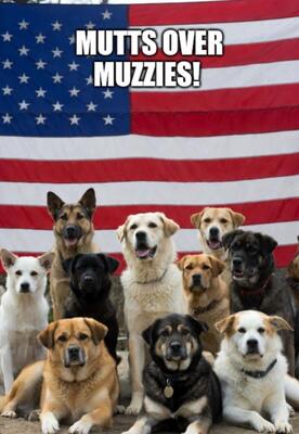 3ece1374-dc49-47bb-ad6a-e091ef0dcace