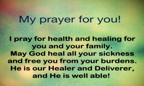 Screenshot 2026-02-11 at 7.30.09 PM