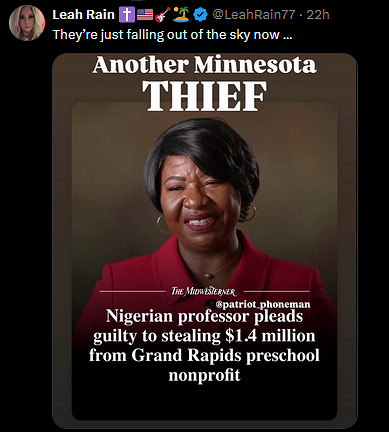 2-3-26 Nigerian Professor Pleads Guilty