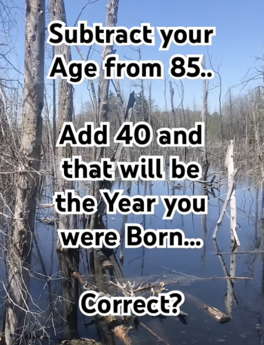 Screenshot 2026-02-12 at 11.03.04 AM