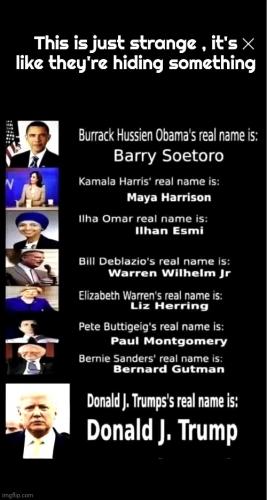 What's in a Name ~A Picture Says It All~