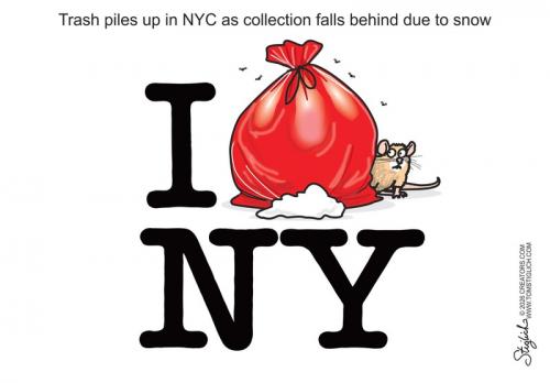 new york socialism