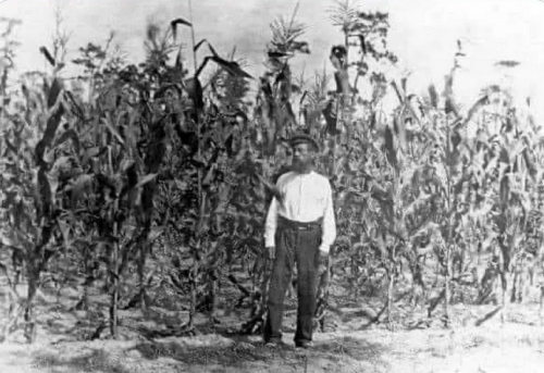 2-26-24 Corn Farmer Wisdom