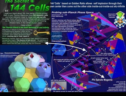 b8f0af54-5c80-4cc9-a746-9bf1f8839adc