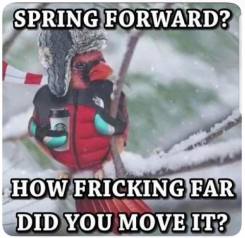 b555ece9-811c-4323-bcac-7c1e07ce4ec3_1016x986