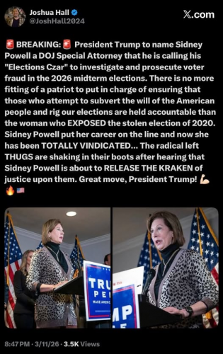 appointment of sidney powell