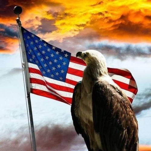 Flag - With eagle 1 -  And setting sun