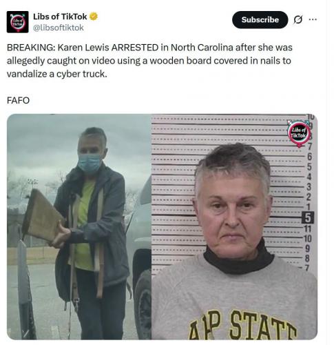 Tesla_Vandal_Looks_so_Nice