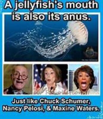 Schumer+pelosi