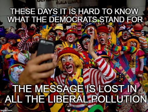 democrats 73