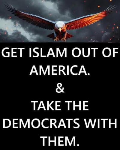 democrats 31
