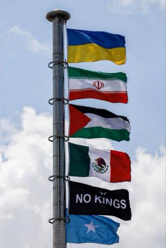 NO KINGS FLAG