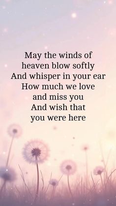 26a0a87c7f4450b31d81f2e8041fe6a6