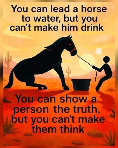 fb42cdc65de21cd7f30c6da7a3e30e48