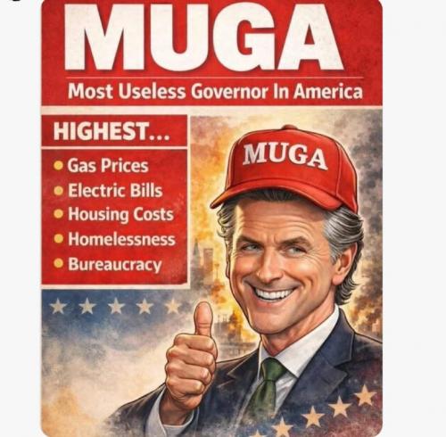 6d73ba9a-1e4b-4480-bffe-8a0a3eeece70_772x758