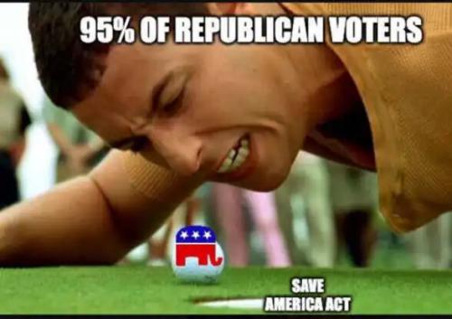 happy-gilmore-95-percent-republican-voters-save-america-voter-id-act.jpg