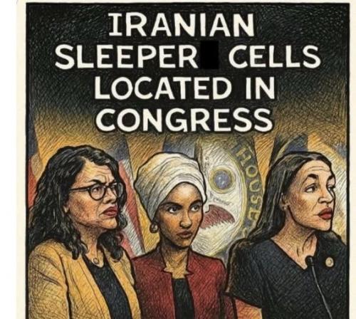democrats 13
