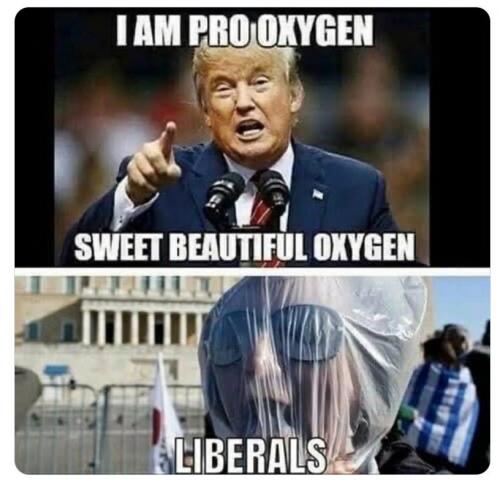 78661e65-a7e1-4fd5-ae05-c128d55bbfdd_816x784