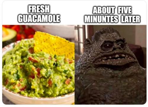 b285b1de-ebdf-4917-9206-dc199268abf1_796x576