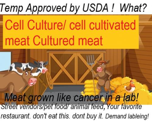 a.Cowandchicken - Copy