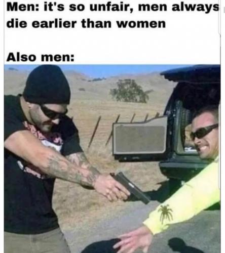 b15692a6-22b0-47af-a527-cd6d2c0a0047_926x1042