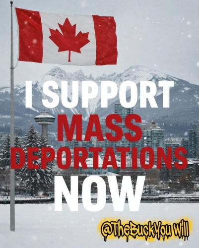 Remigration - mass deportation