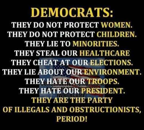 2020 election fraud exposed 13