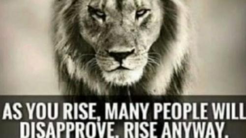 wwg1wga 123