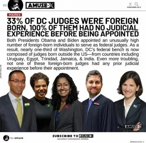 corrupt judges 2