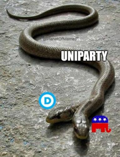 65ac9b4d-cd16-461a-8d70-17d184aaa68f_523x680