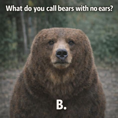 81140ffdae21f8b5fcb92b72342c2e46