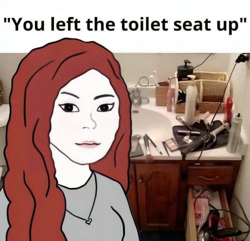 toiletseat