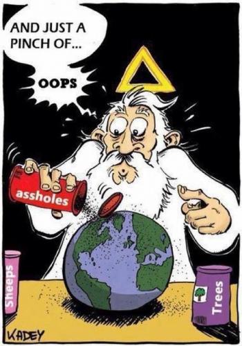 486173_215740808558013_1682577440_n