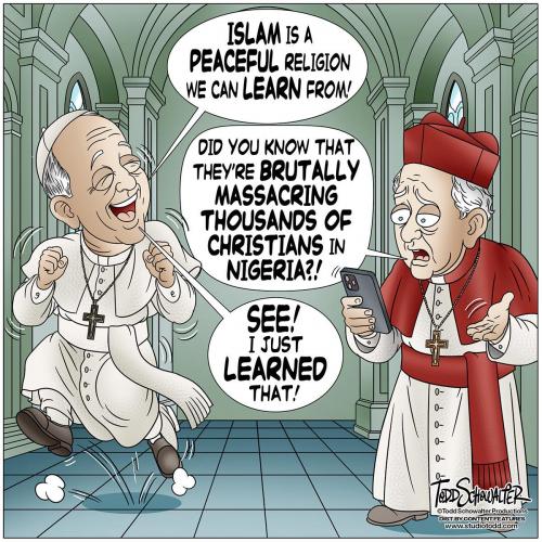 Cartoon
