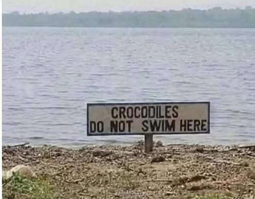 croc