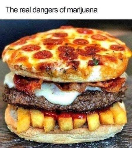 9dfc71a817c6f458cc19