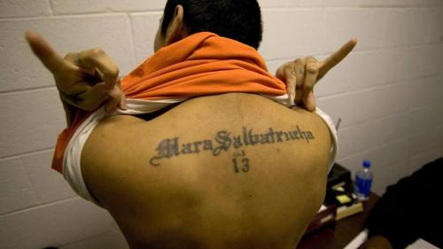 MS13 LOS ANGEL