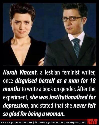 20046812_757167951122003_8139769524010757414_n