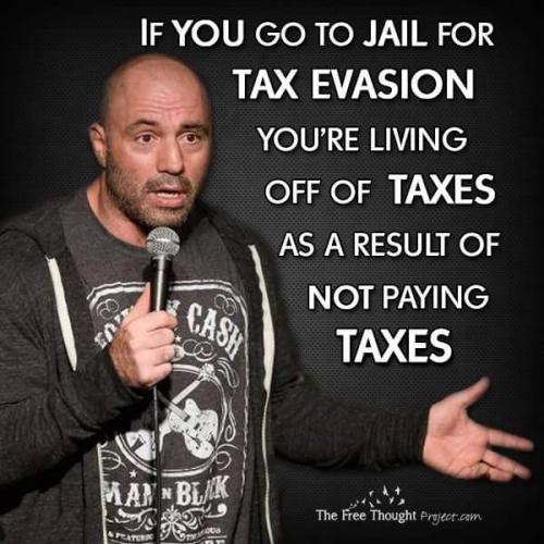 14441017_1291330234231337_5863809064189192759_n