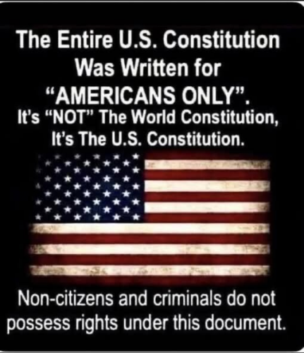 Us constitution for us only