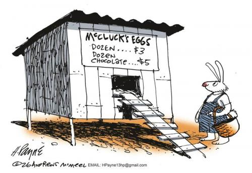 payn_c21387920260402030055-800x0