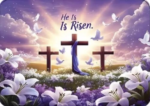 8f041555b476287d2e46a8c91af55e3d