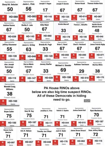 House Rino