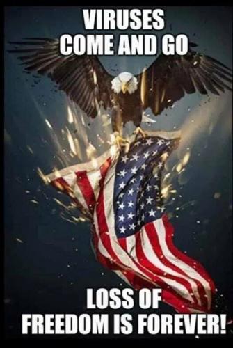 my qanon 9