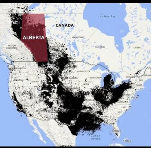 OIL MAP7