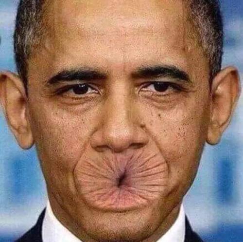 064f5914-3d78-4e1f-9199-4e7d691941b3-1_all_9910