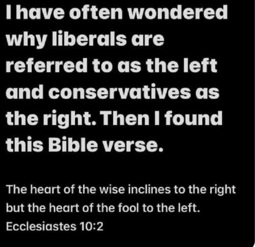 Liberals referred as left