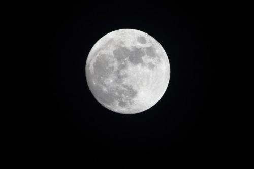 IMG_2674